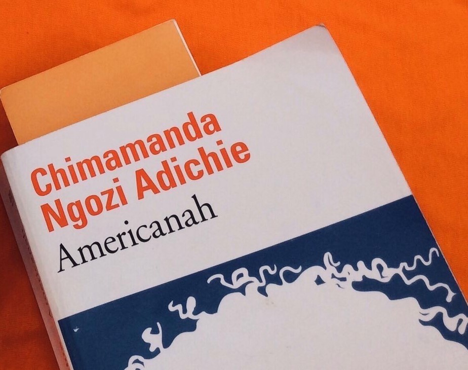 Article : Americanah, de Chimamanda Ngozi Adichie, mon coup de c&oelig;ur