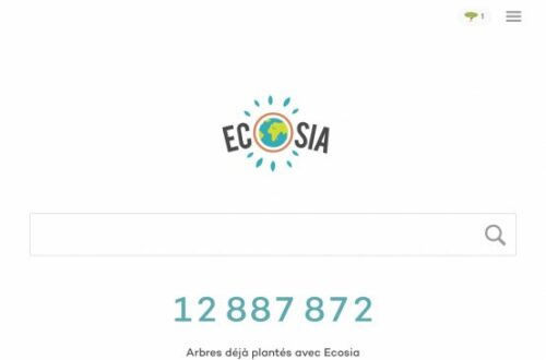 Article : Ecosia ou comment planter des arbres à l’aide d’un moteur de recherche