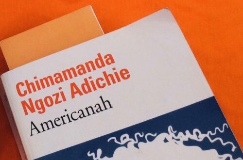 Article : Americanah, de Chimamanda Ngozi Adichie, mon coup de cœur