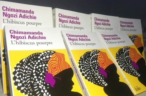 Article : L’Hibiscus Pourpre de Chimamanda Ngozi Adichie